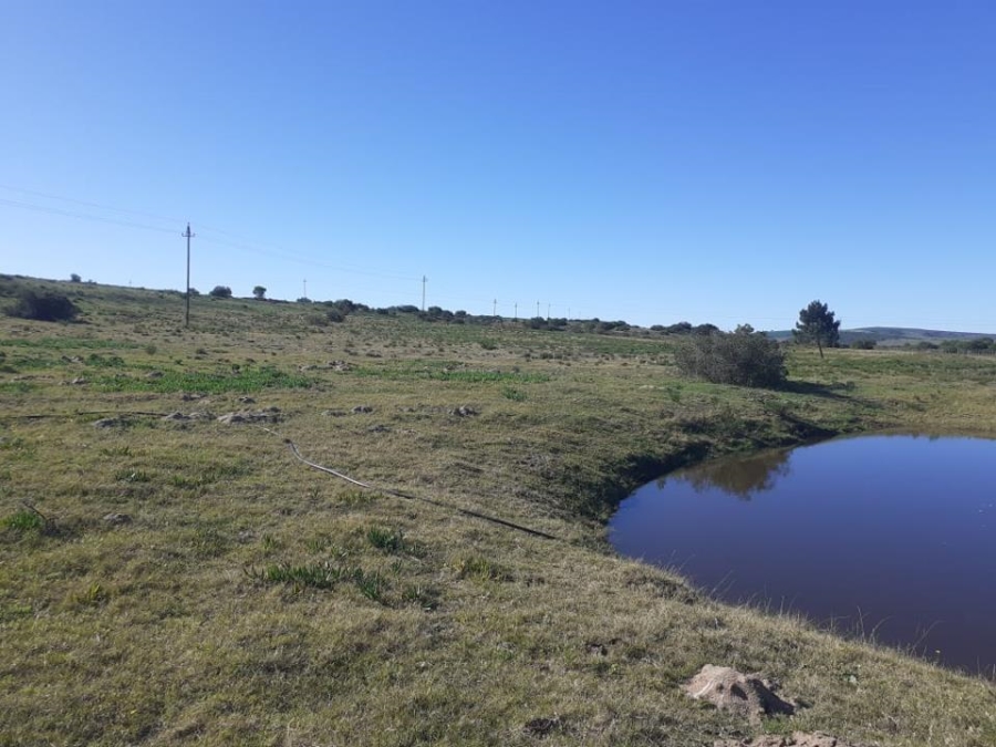 0 Bedroom Property for Sale in Mossel Bay Rural Western Cape